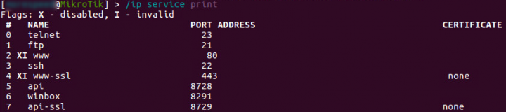 Figure 1. Services running on the router