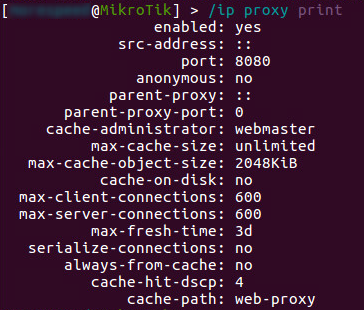 Figure 4. Proxy service running on the router