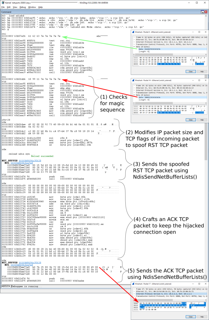 Figure 5. By capturing individual packets, we can illustrate the internal working of Daxin. 