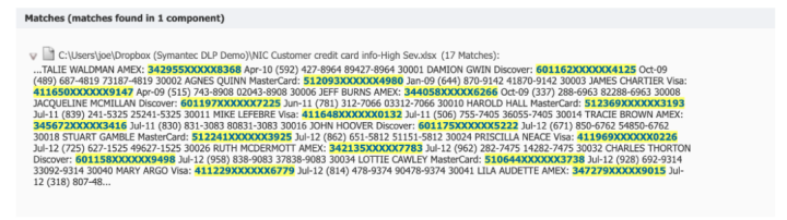 Figure 3: Example of ‘data masking’ applied to credit card numbers displayed in an Incident Report