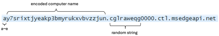 Figure 1. Host name for initial name resolution.