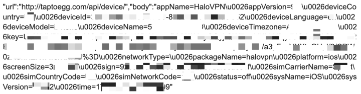 Figure 11. HaloVPN network traffic